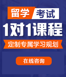 男人的鸡鸡塞进女人的逼逼视频留学考试一对一精品课